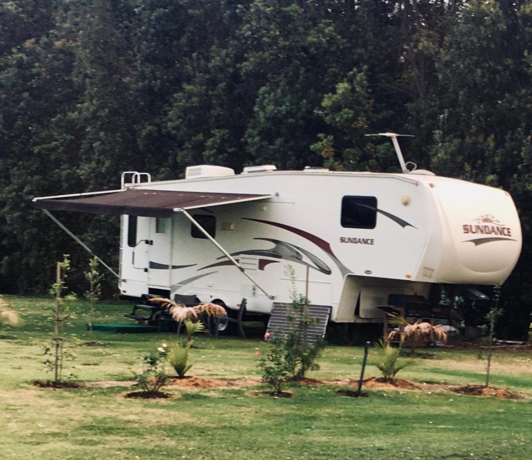 The Camel, Raio Glampervan Pukenui Apartment Exterior foto